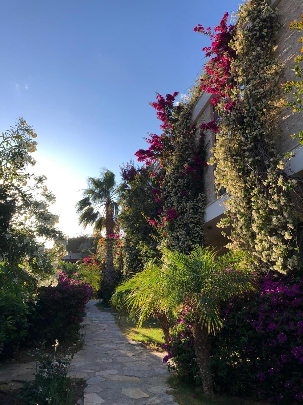 Spektr Boutique Hotel Yalikavak Exterior photo